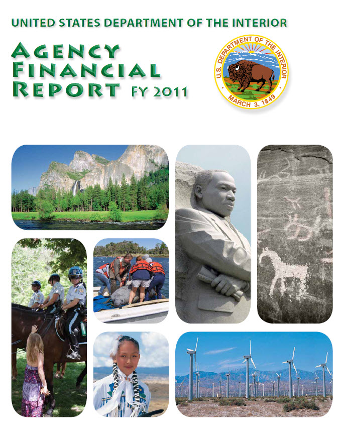 DOI AFR FY 2011