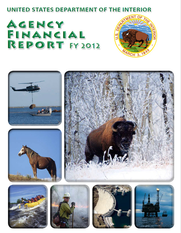 DOI AFR FY 2012