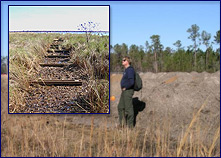 Wetland survey workCredit: NPS 