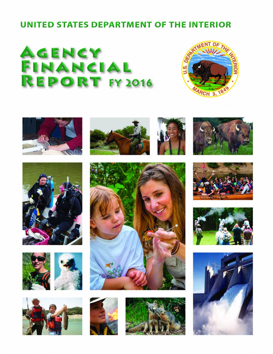 FY 2016 Agency Financial Report