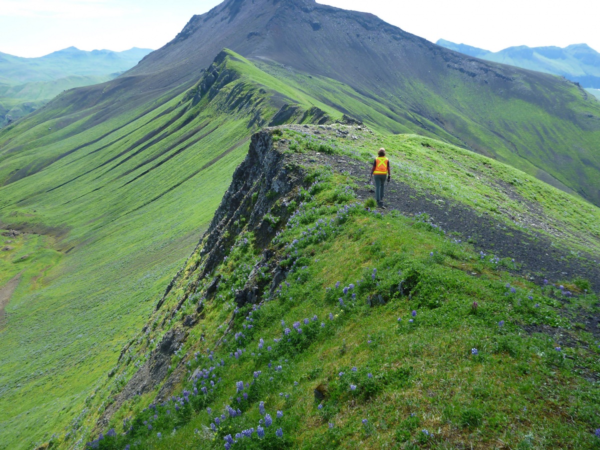 15 Amazing Jobs At The Interior Department U S Department