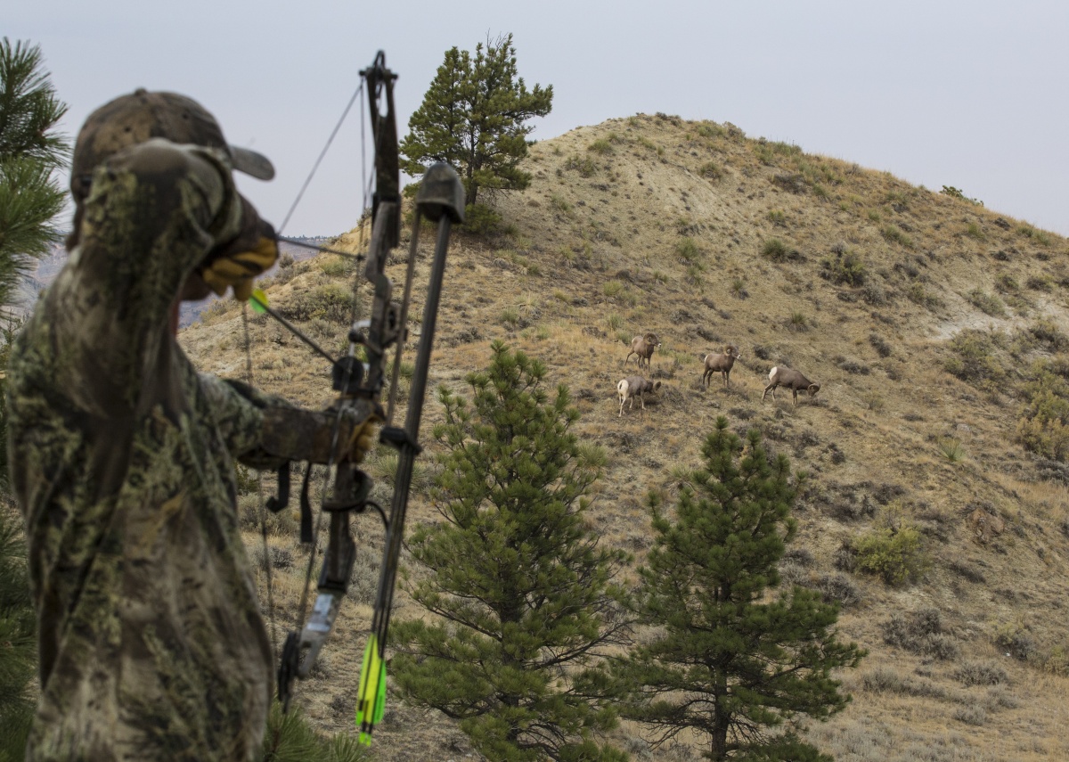 Everything You Need to Know About Hunting On Public Lands