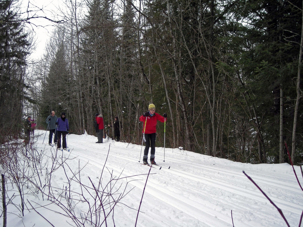 Four people wearing winter clothes ski down a snow covered path running through thick woods.