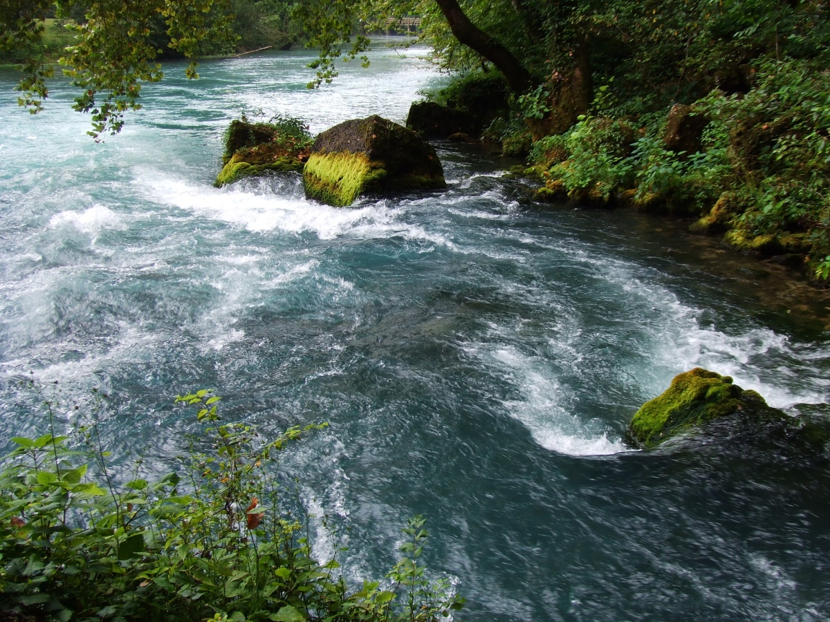 Water rushes past moss covered rocks as a lush green forest flanks either bank of the river. 