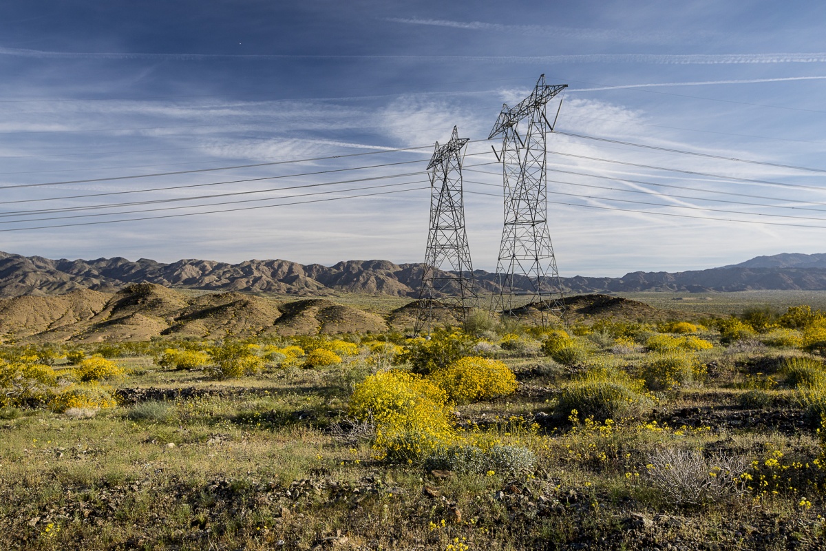 Two large metal towers hold up electrical cables as they cross a desert plain covered in bushes and yellow flowers.