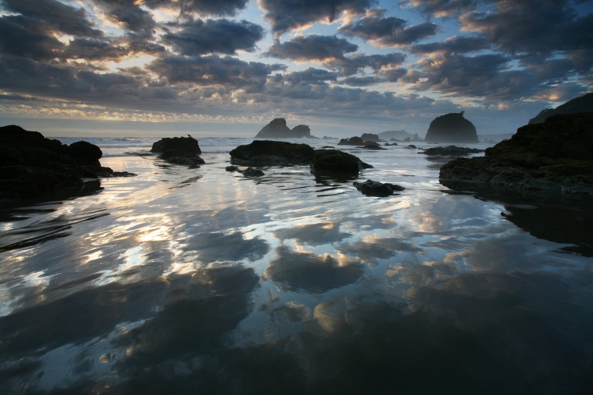 Clouds and sunset reflect in a lagoon of ocean waters with scattered rocks poking out of the water.