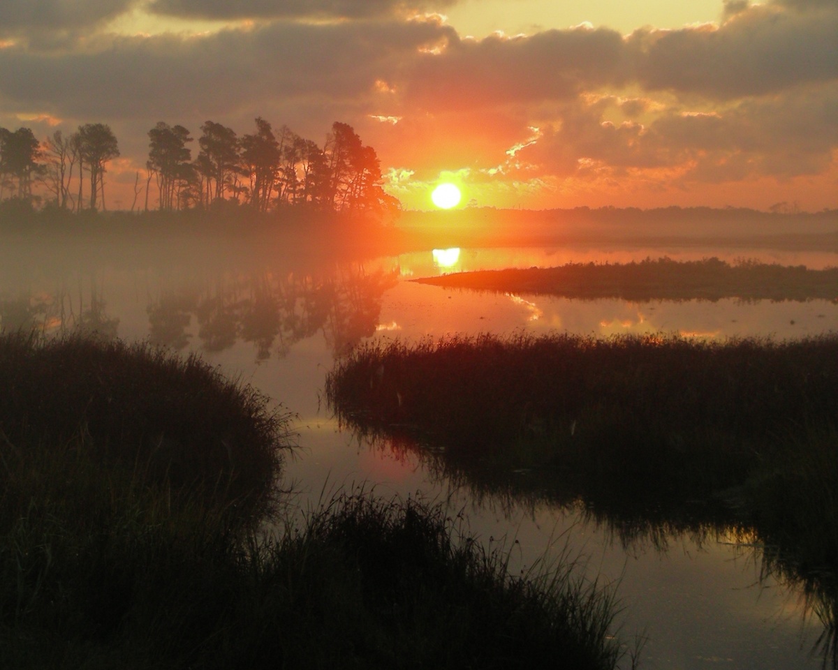 Sun rises in the background illuminating shadows of trees, a body of water, and banks of land