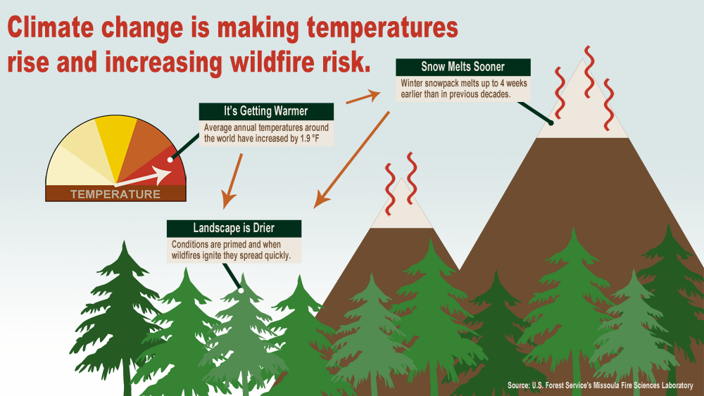 Понятие Wildland Fire. Изменение климата лес. Understanding climate change. Climate change Effects.