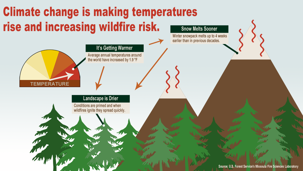 Wildfire Chart