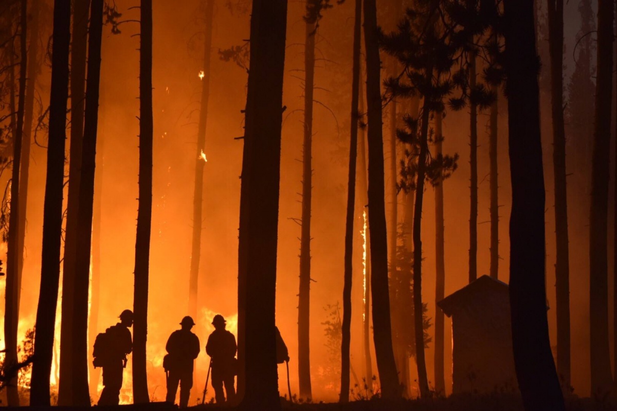 Vier Feuerwehrleute mit Helmen und Schutzausrüstung stehen nachts in einem Wald, der von den Flammen eines nahe gelegenen Feuers umrahmt wird.