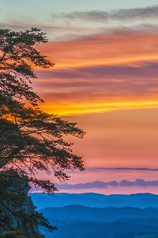 A tree's branches poke into the sky, which is cloudy and appears painted with orange, yellow, blue, teal, pink and purple.