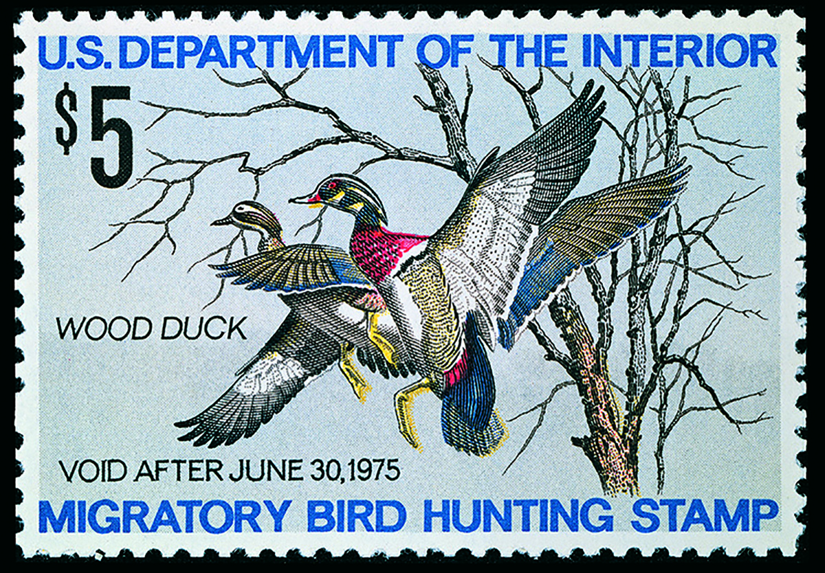 A painting of wood ducks