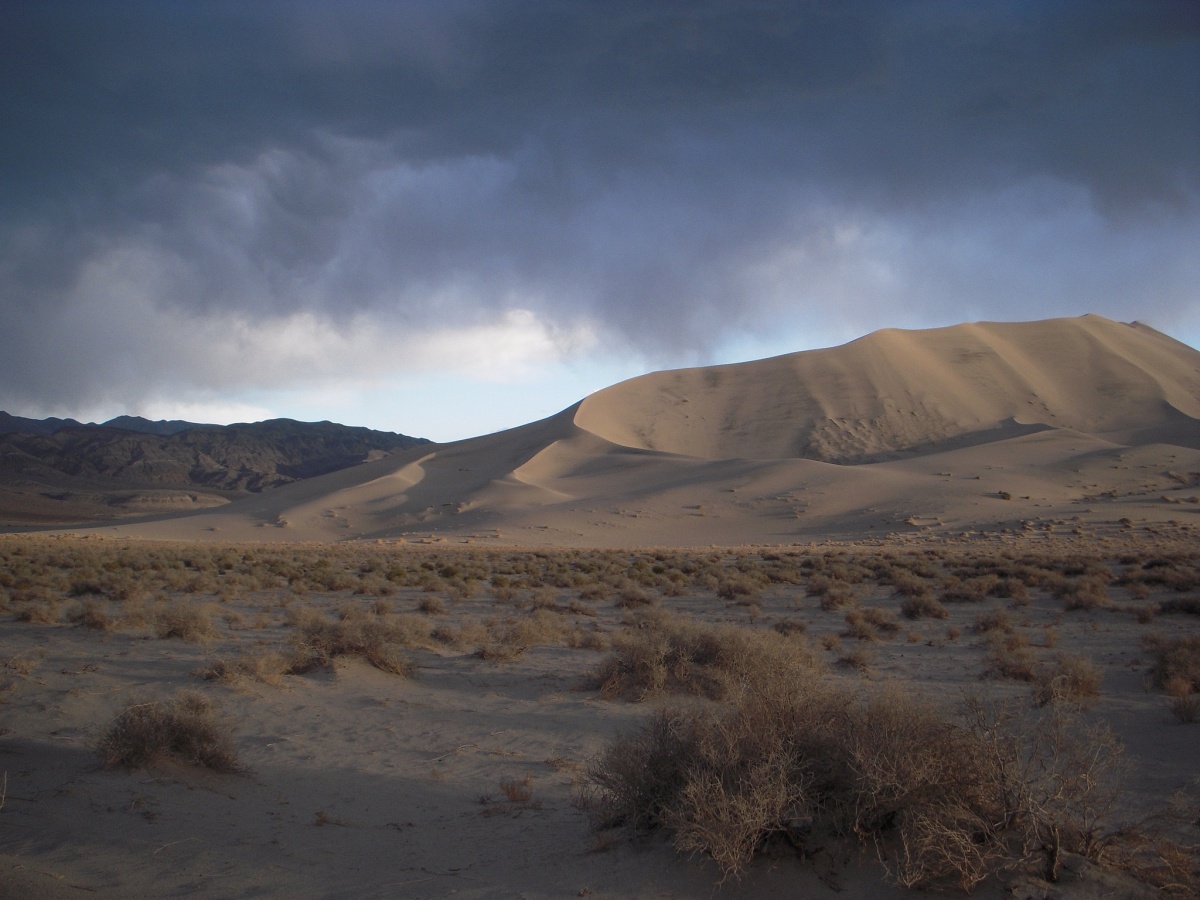 Dry clumps of yellow grass are scattered over the desert floor next to a large sand dune under a sky filled with dark clouds.