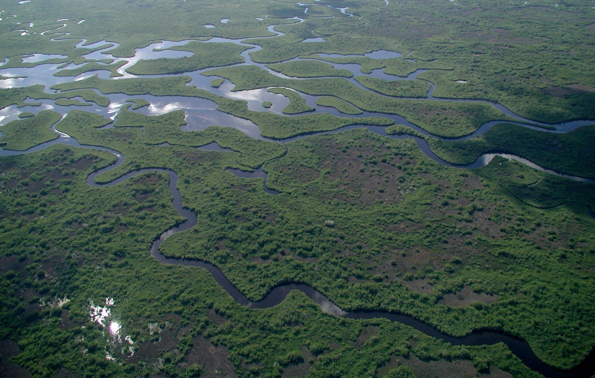 kanalen van waterstroom door wetlands