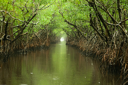 Everglades National Park