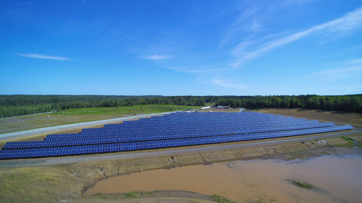 A grassy field is covered in several long lines of solar panels under a bright blue sky.