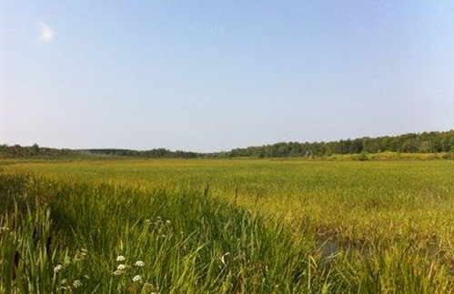 Image of Fond du Lac Reservation