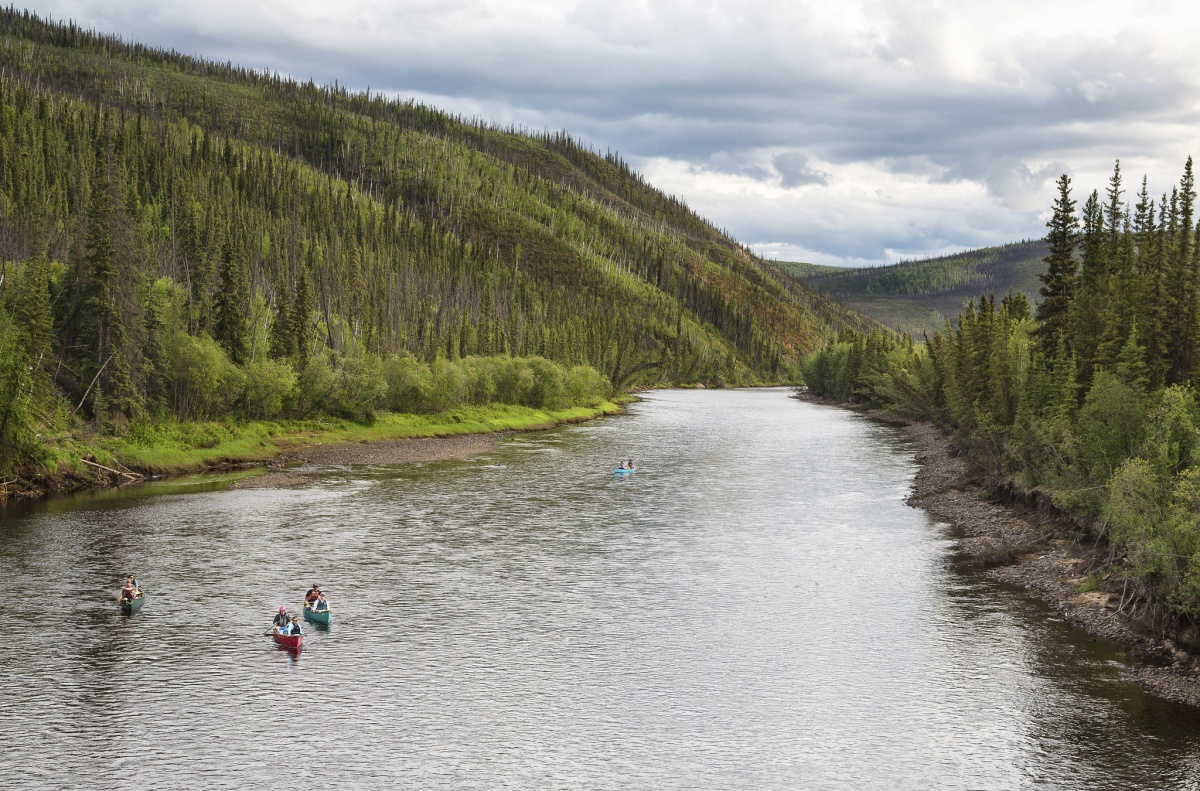 A small group of canoes paddle on a wide river bordered by forests and mountains.