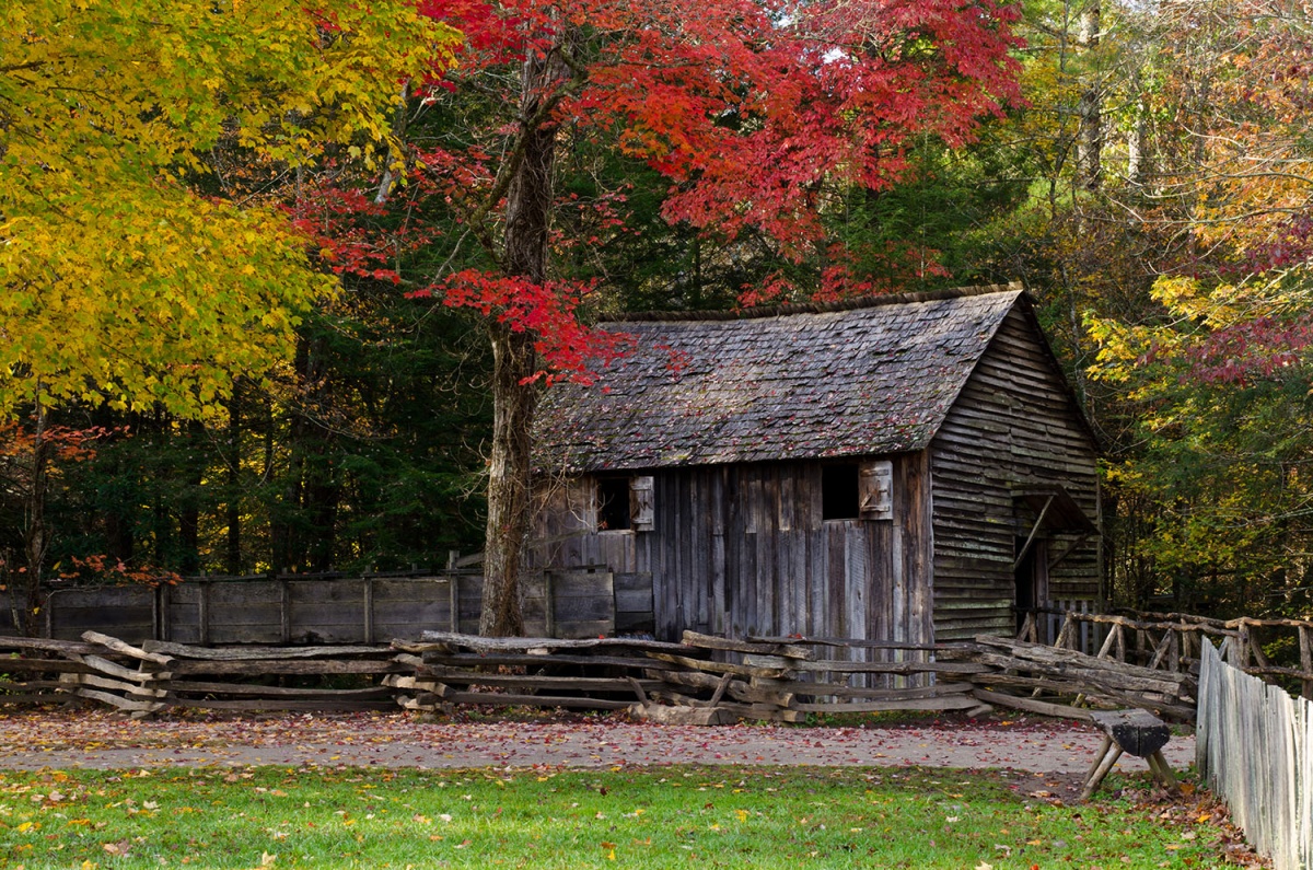 An old wooden cabin surrounded by a wooden fence stands on the edge of a forest.