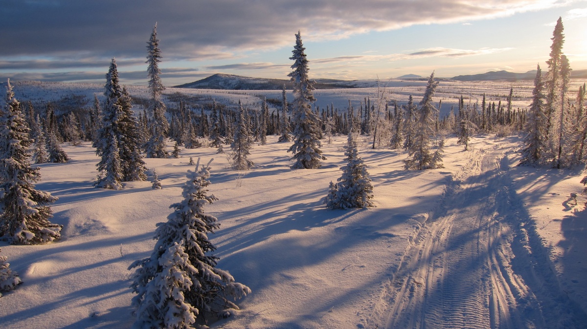 A snowy path curves by frosted trees across a wide plain with mountains in the distance.