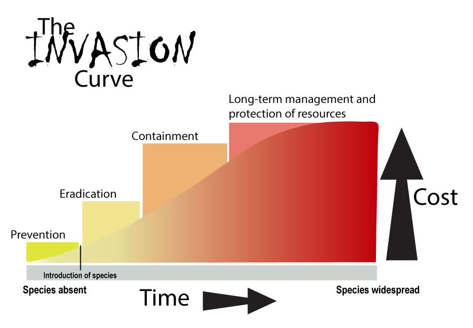 Invasive Species Chart