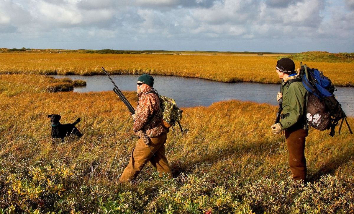 Two hunters and their dog walk through golden grass near a pond