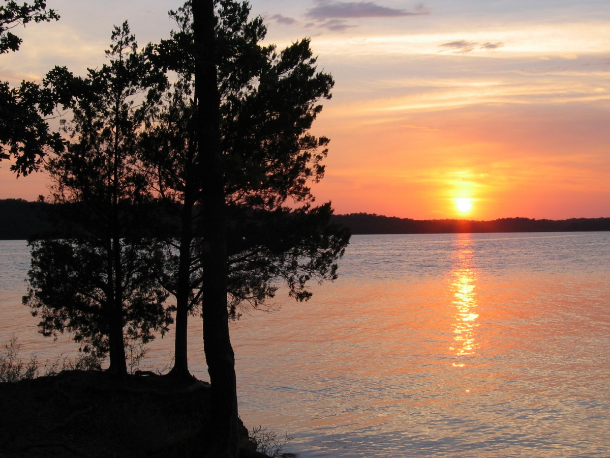 Trees grow on the bank of a wide lake under a sunset sky.