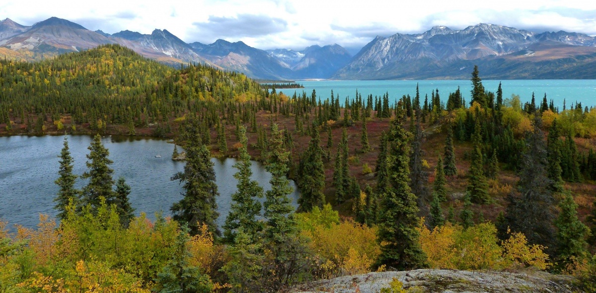Two lakes and a forest in the foreground with mountains rising in the background.