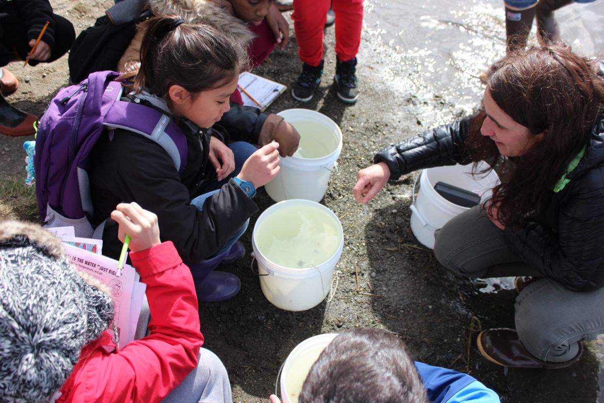 Students administer water quality tests in different reaches of Chester Creek.