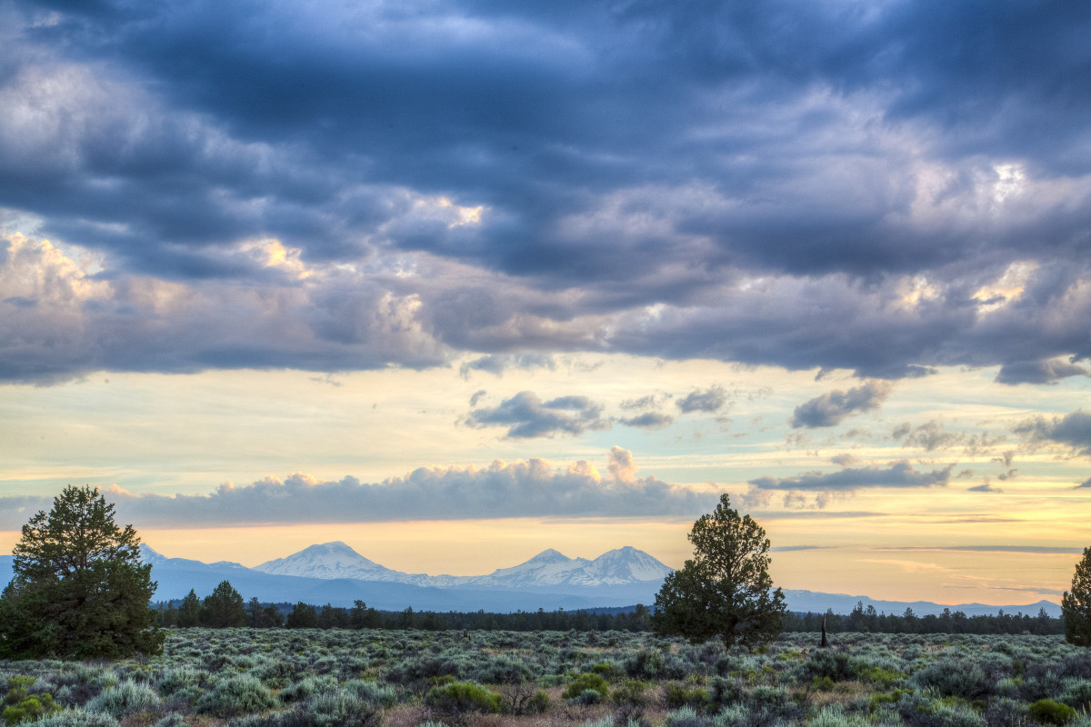 A sagebrush flat meets a treeline with mountain peaks in the distance