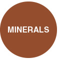 Brown circle image representing minerals.