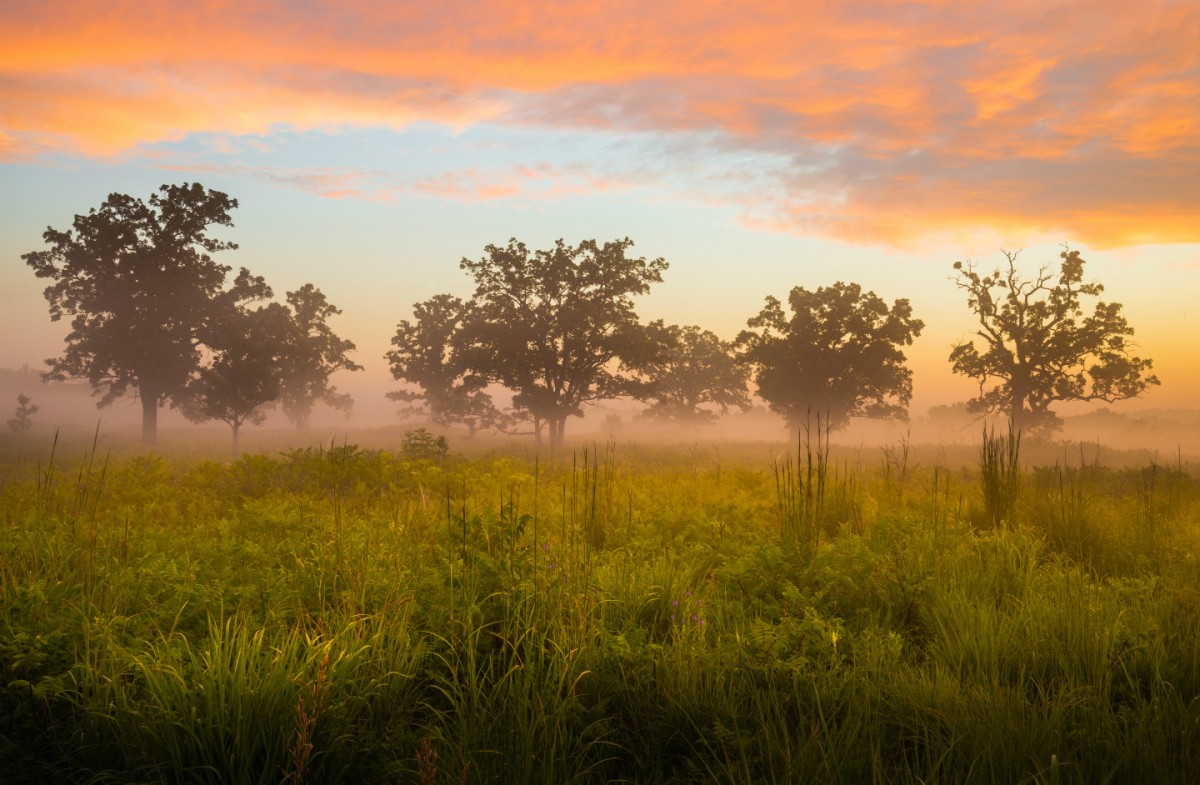 Minnesota Valley National Wildlife Refuge at sunrise