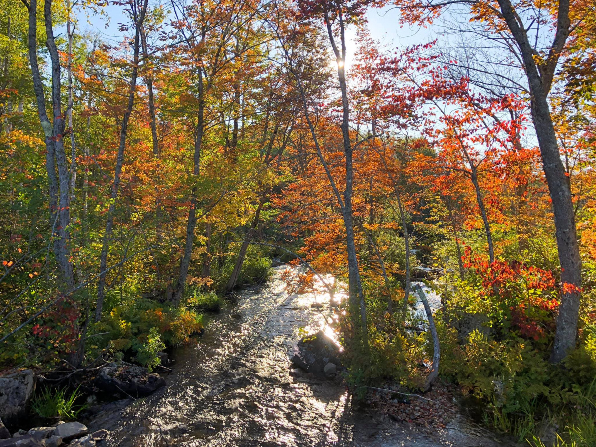 Moosehorn National Wildlife Refuge in Maine by Keith Ramos