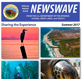 Newswave Summer 2017 Photo Issue
