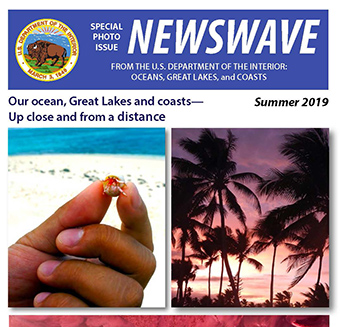 Newswave Summer 2019