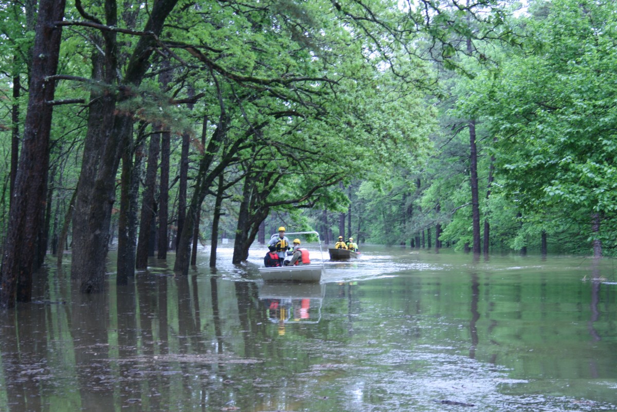 Park rangers on boat drive through water flooded up to trees.