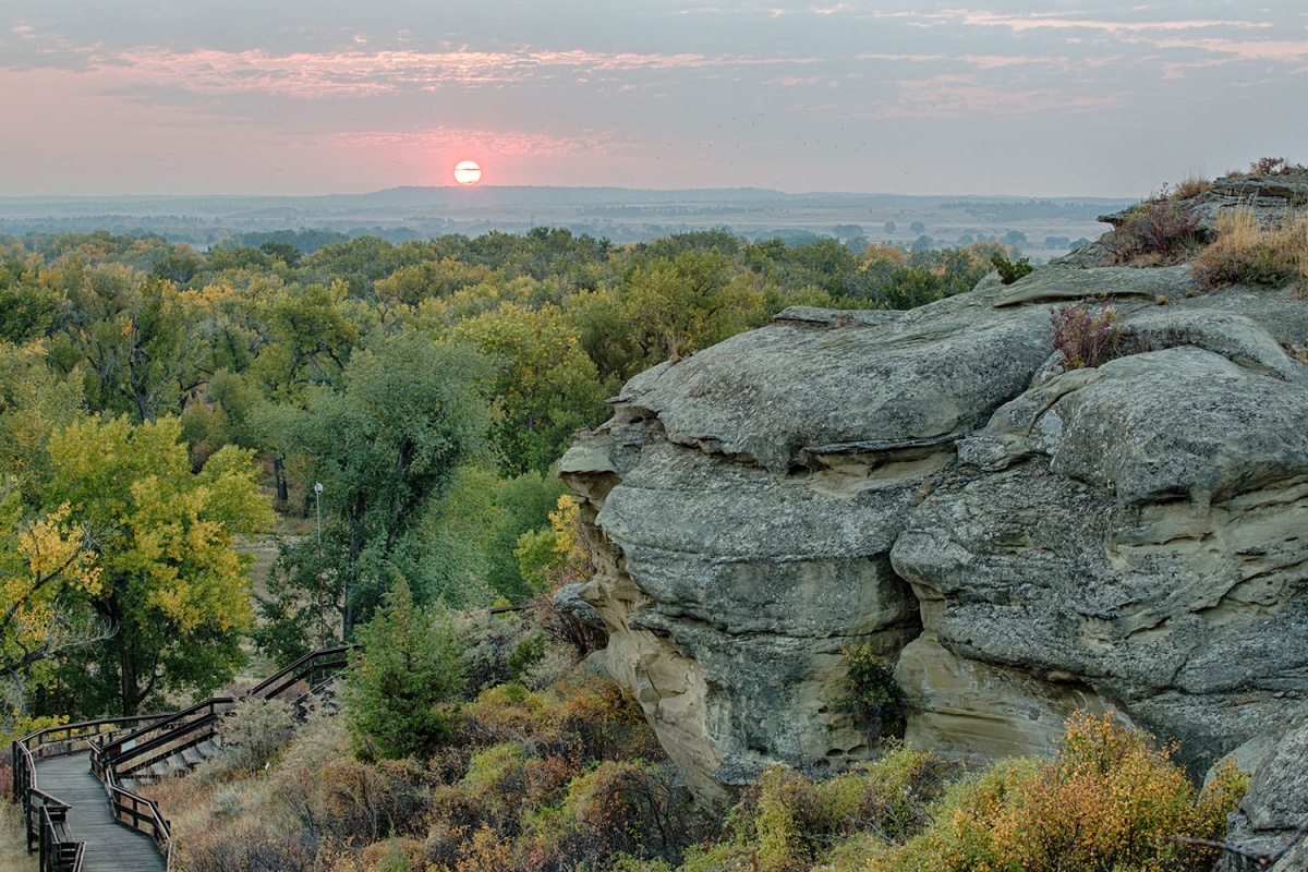 Pink sun rests in the background of a vast forest of trees, a staircase, and large rock formations