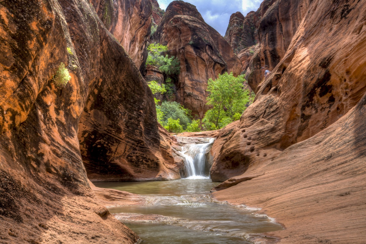 Some green vegetation and a small waterfall leading into a stream are surrounded by large red cliffs