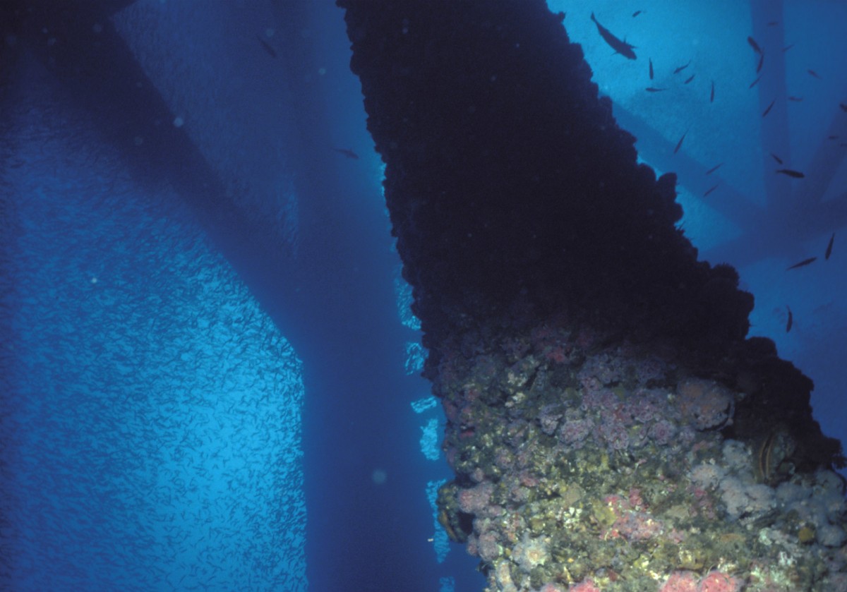 Artificial Reefs Create Homes For Sea Life Us Department - 