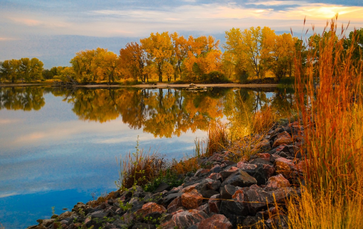 Trees showing their autumn colors stand along the rocky bank of a still lake.