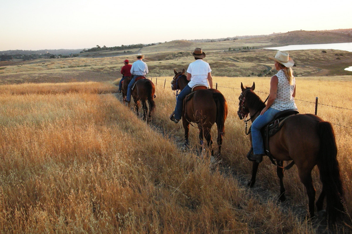 People on horses travel in a line along a barbed-wire fence though a field of dried grasses