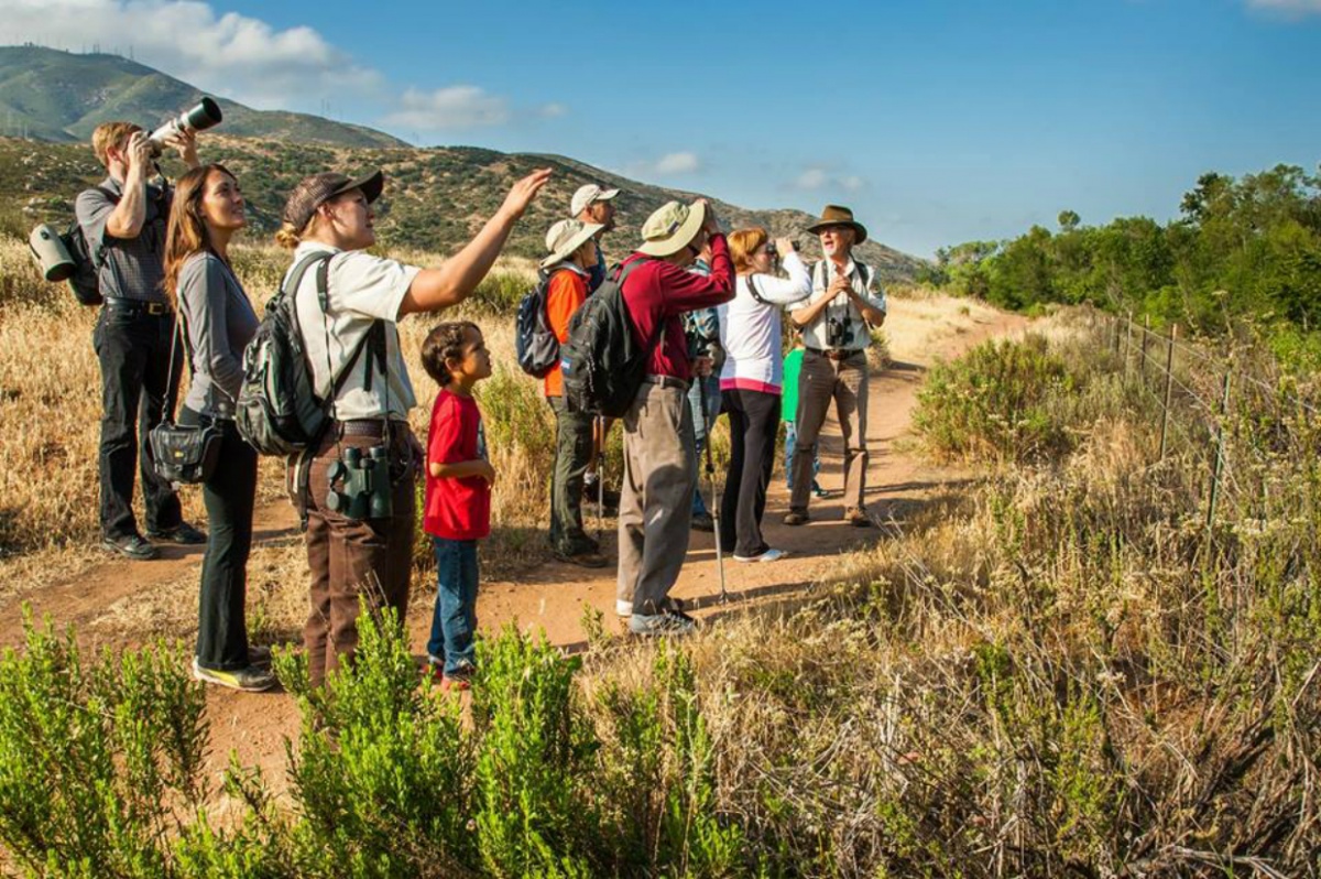 A group of birder on a large hill look through binoculars with the guidance of a ranger in San Diego 