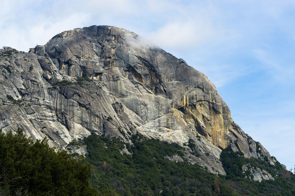 A large granite formation above the tree tops