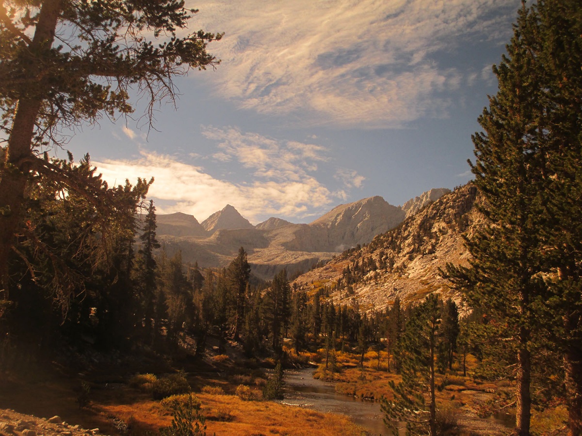 A view of a meadow with a river through it, surrounded by tall trees and rugged, gray mountains