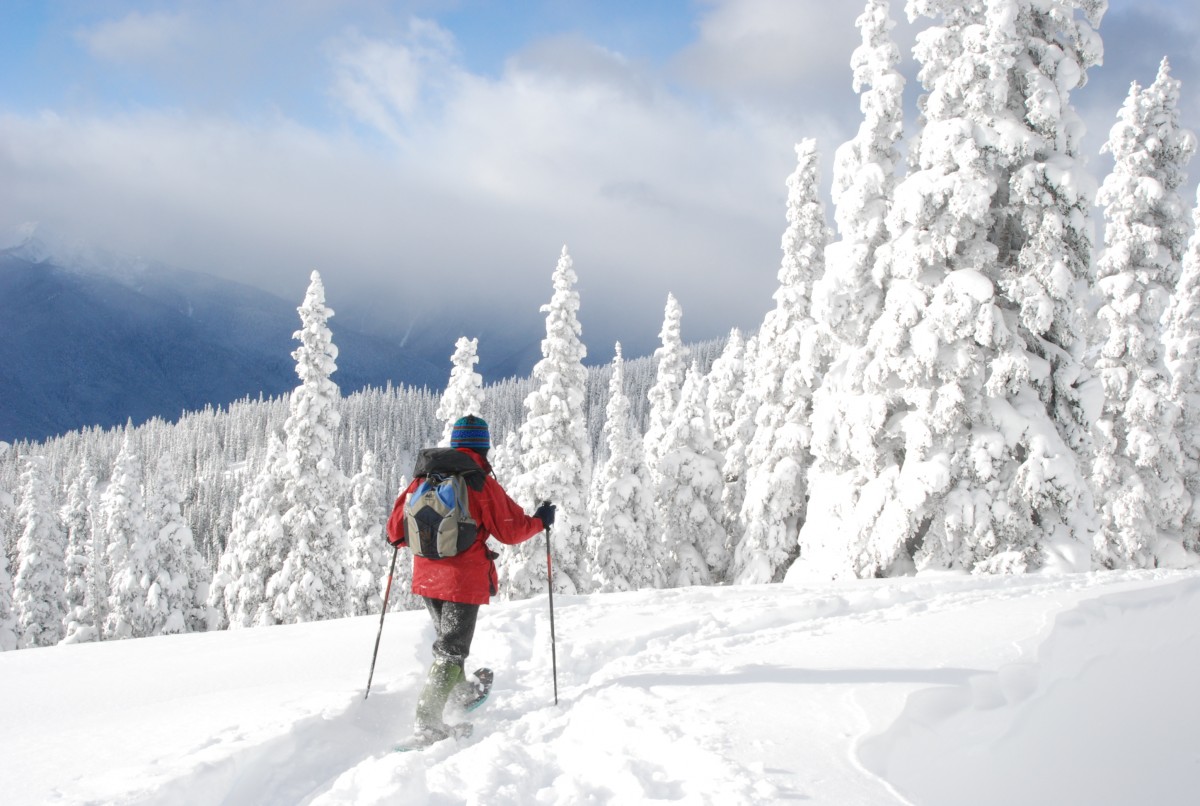 11 Things You Didn T Know About Olympic National Park U S