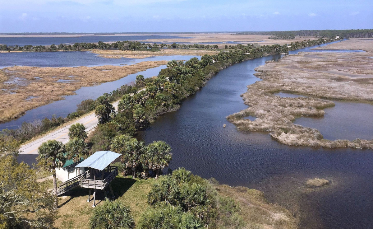 Ponds and rivers divide land into tiny islands along a road flanked by trees