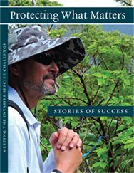 Protecting What Matters: Stories of Success