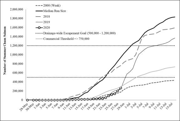 2020 Cumulative summer chum salmon passage