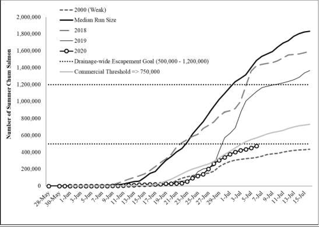 Cumulative summer chum salmon passage at the Pilot Station sonar compared to late and weak years. The management “commercial threshold” of 750,000 summer chum salmon needed for commercial harvest based on late run timing is included for reference. The horizontal dotted lines represent the lower and upper bounds of the drainage-wide escapement goal.
