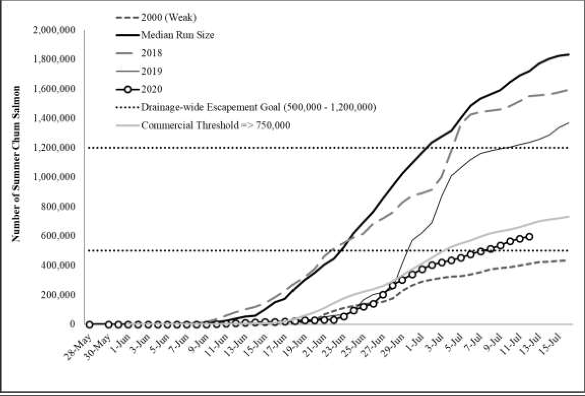 Cumulative summer chum salmon passage at the Pilot Station sonar compared to late and weak years. The management “commercial threshold” of 750,000 summer chum salmon needed for commercial harvest based on late run timing is included for reference. The horizontal dotted lines represent the lower and upper bounds of the drainage-wide escapement goal.